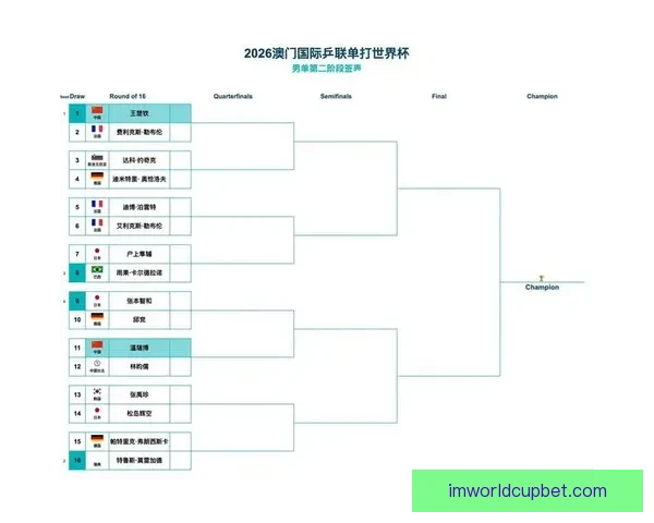 IM体育娱乐：引领全球体育娱乐新潮流 打造全方位互动体验平台