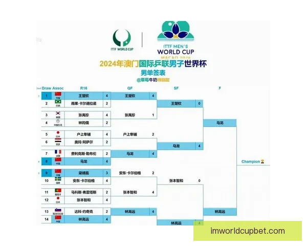 2026世界杯主场馆全景解析与赛程亮点全面指南