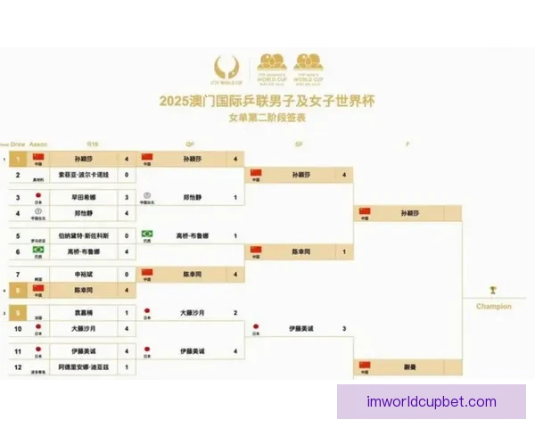 美加墨世界杯赛场精彩瞬间与全球球迷激情盛宴解析